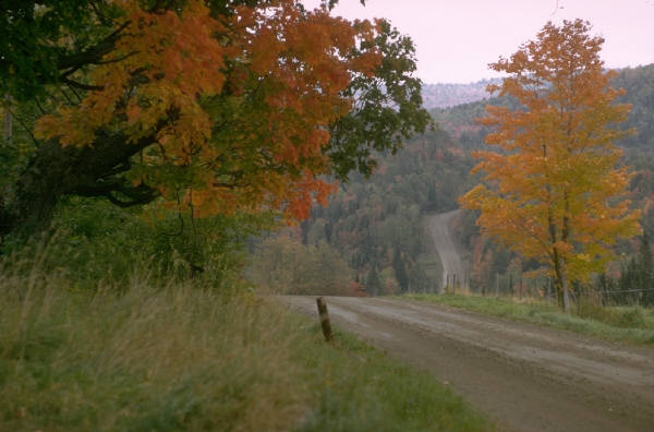 dirt road with trees with leaves turning from green to orange